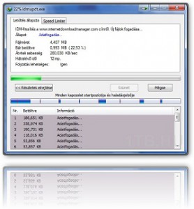 Internet Download Manager screenshot